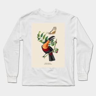 Toucan and Butterfly Antique Naturalist Illustration Long Sleeve T-Shirt